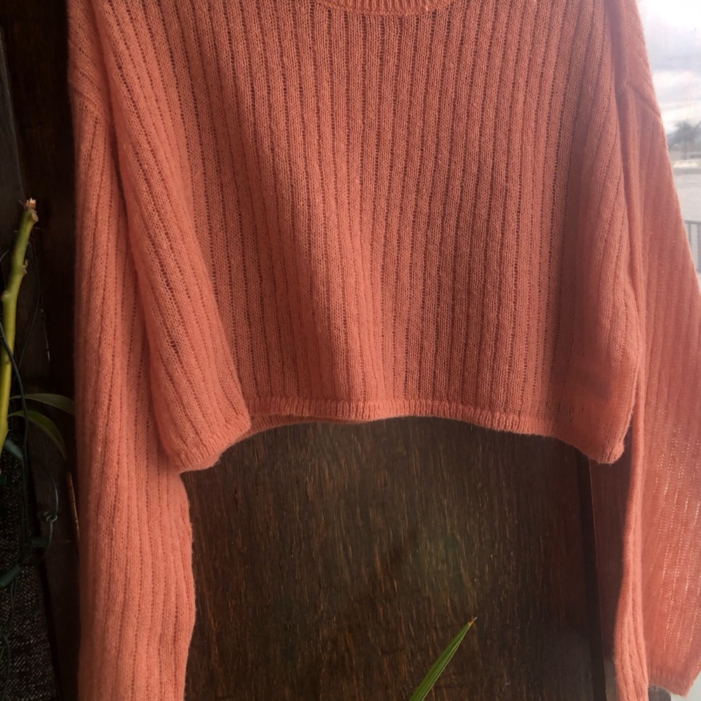 Wild Fable crew neck cropped top - Picture 6 of 7